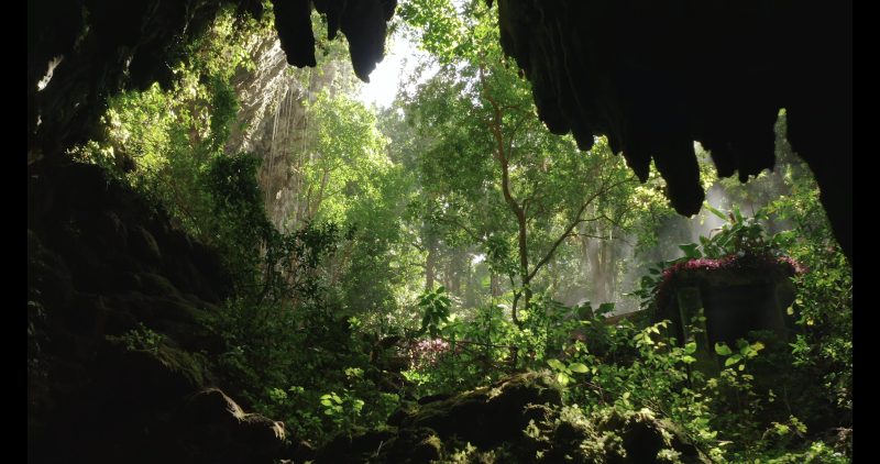 Río Camuy Cave Park