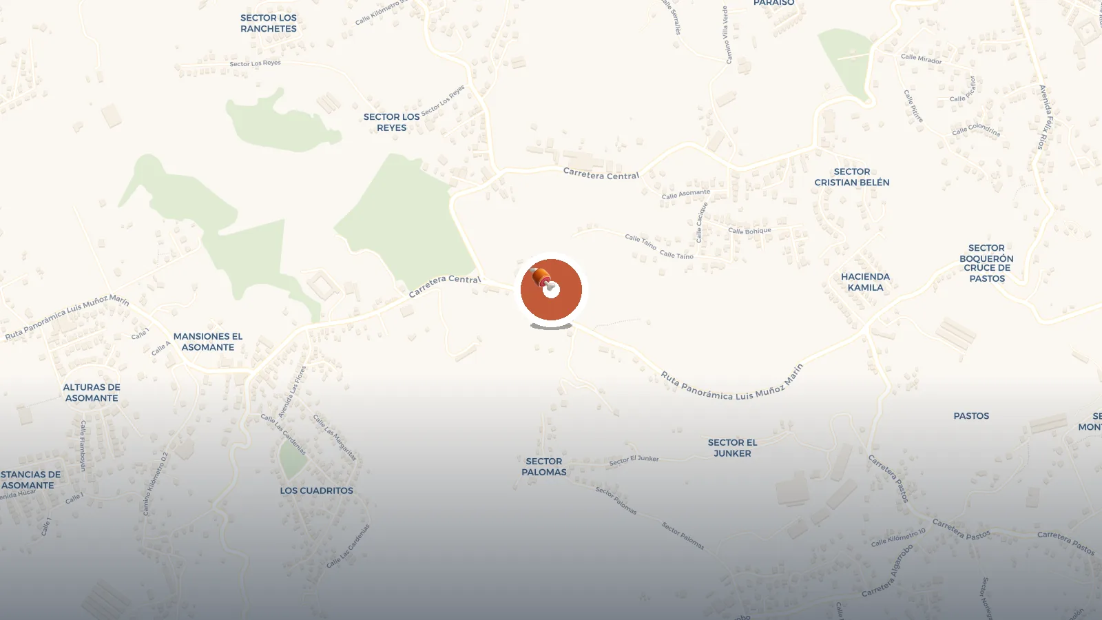 Mapa de El Bosque