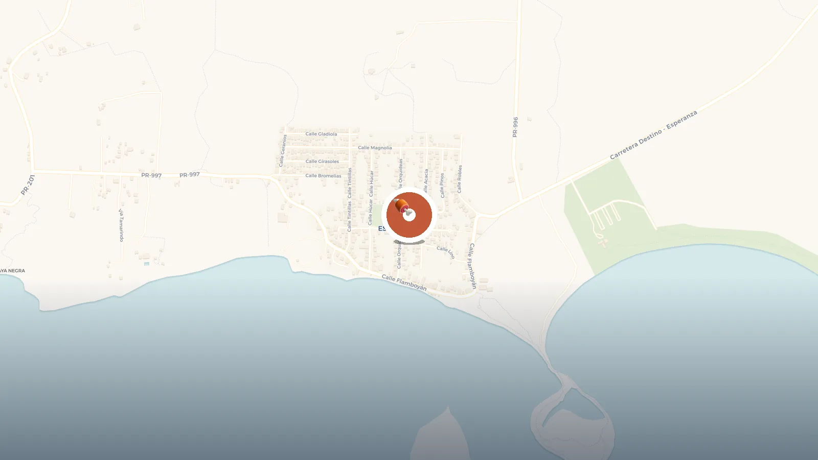 Mapa de Rancho Choli