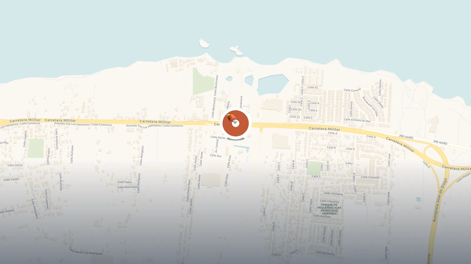Mapa de Sabor a Leña BBQ