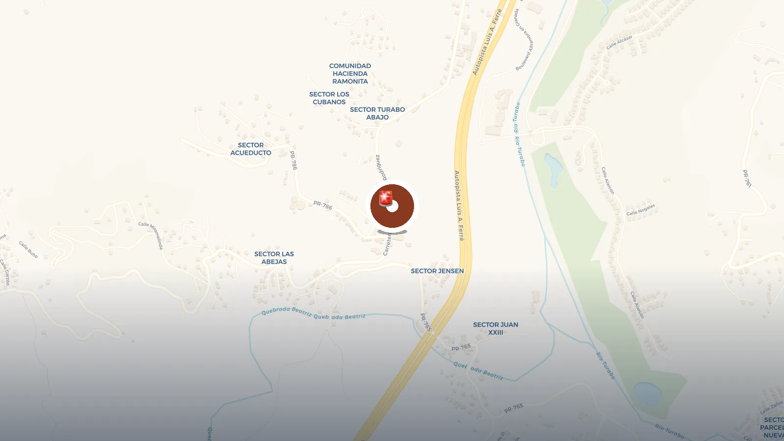 Mapa de Proyecto Bandera Caguas