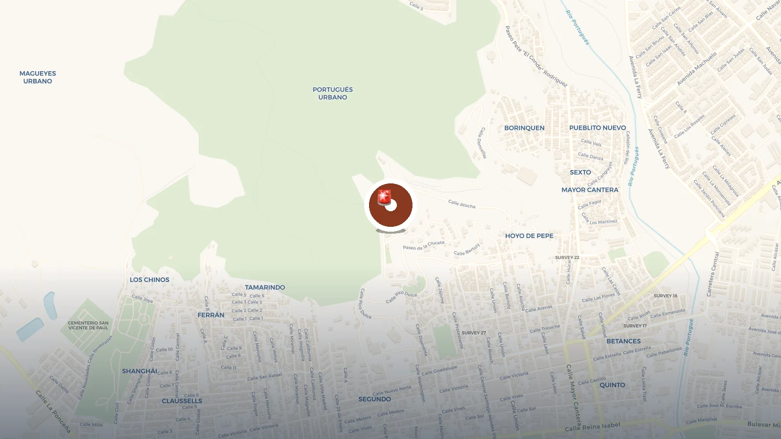Mapa de Proyecto Bandera Ponce
