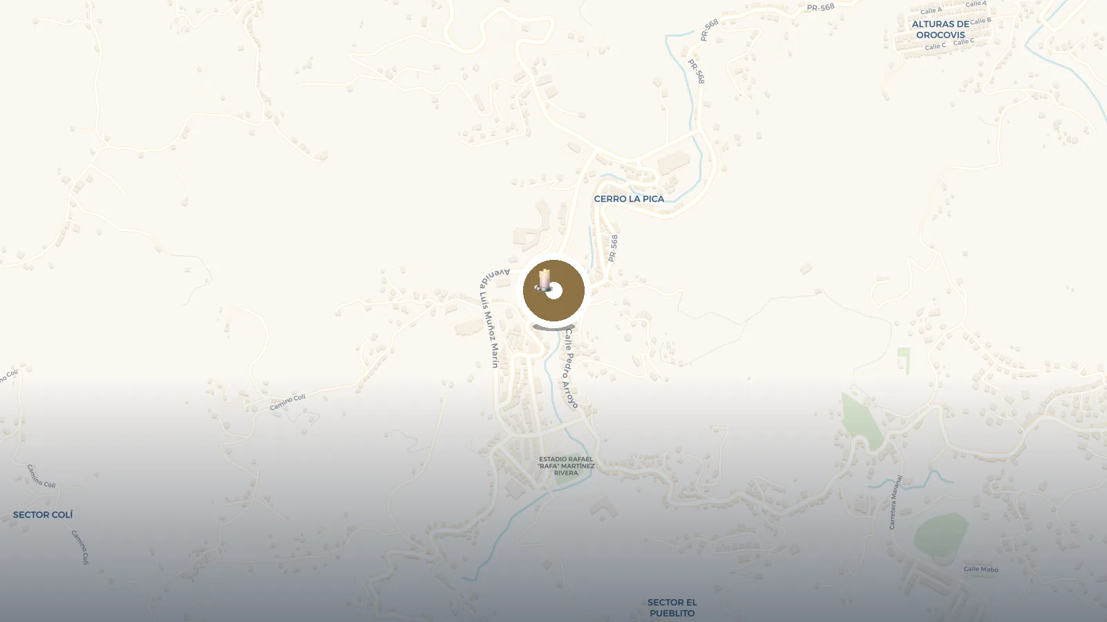 Mapa de Plaza Pública De Orocovis