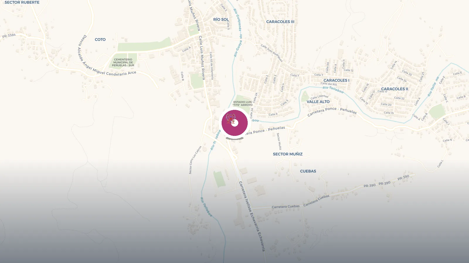 Mapa de Parque Don Pedero Albizu Campos
