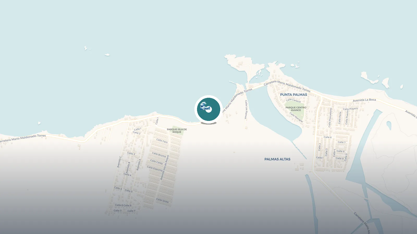 Mapa de Playa La Palmita