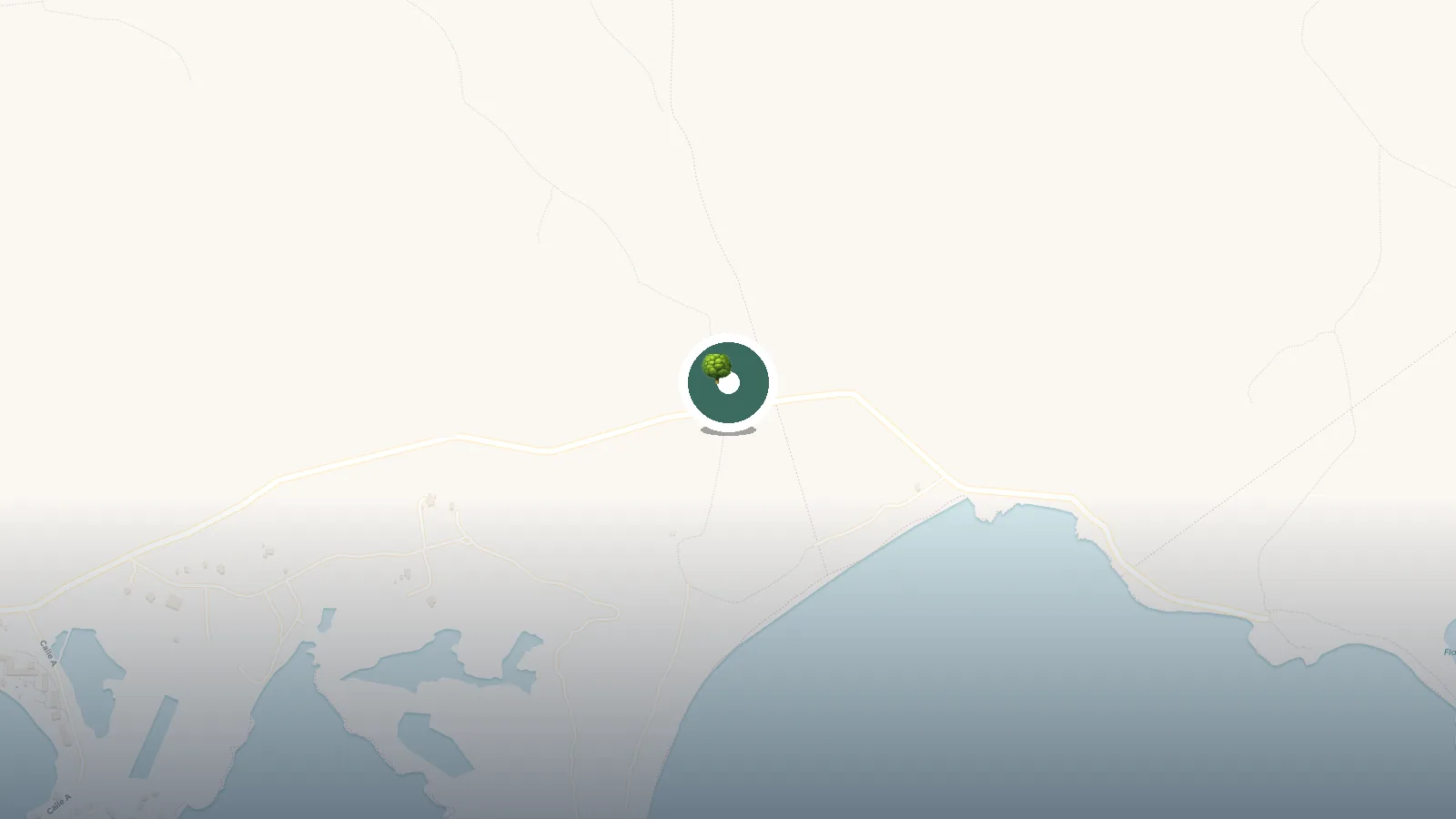 Mapa de ANP Bahía Ballena Para La Naturaleza