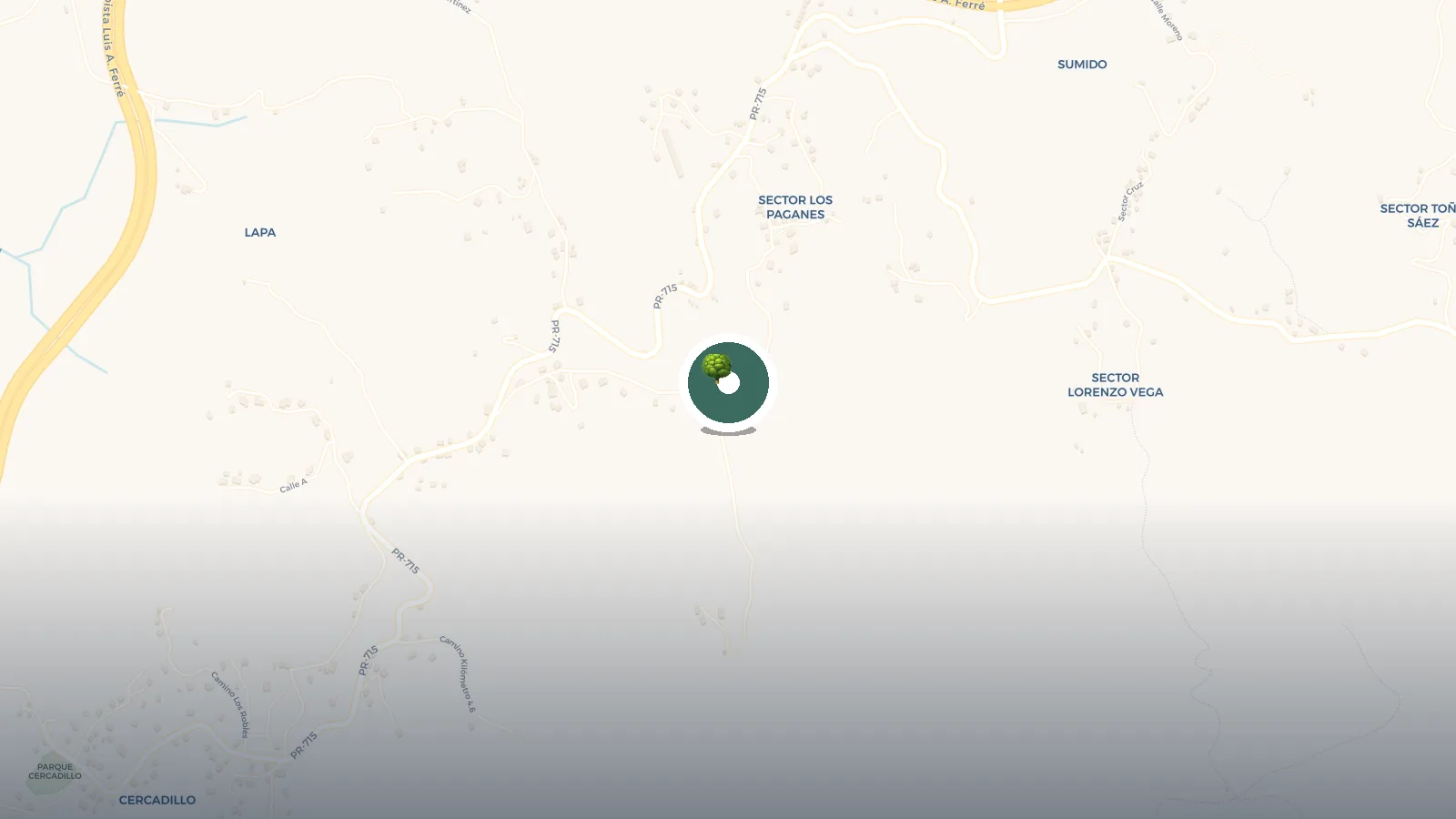 Mapa de Bosque de Pinos Cayey