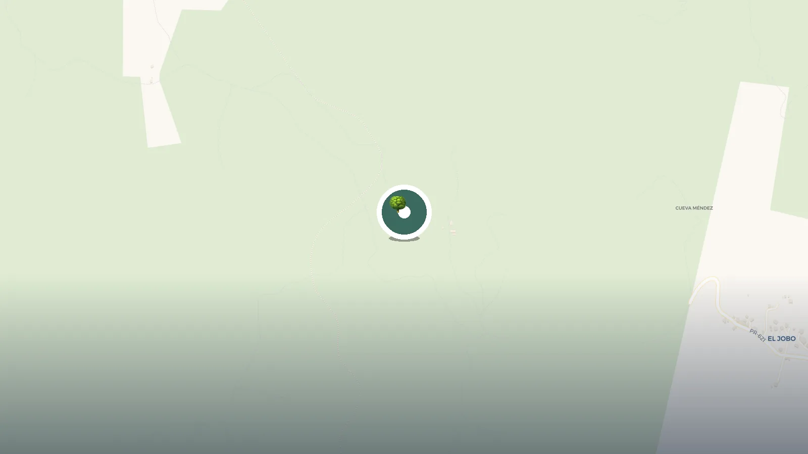 Mapa de Bosque Estatal De Río Abajo