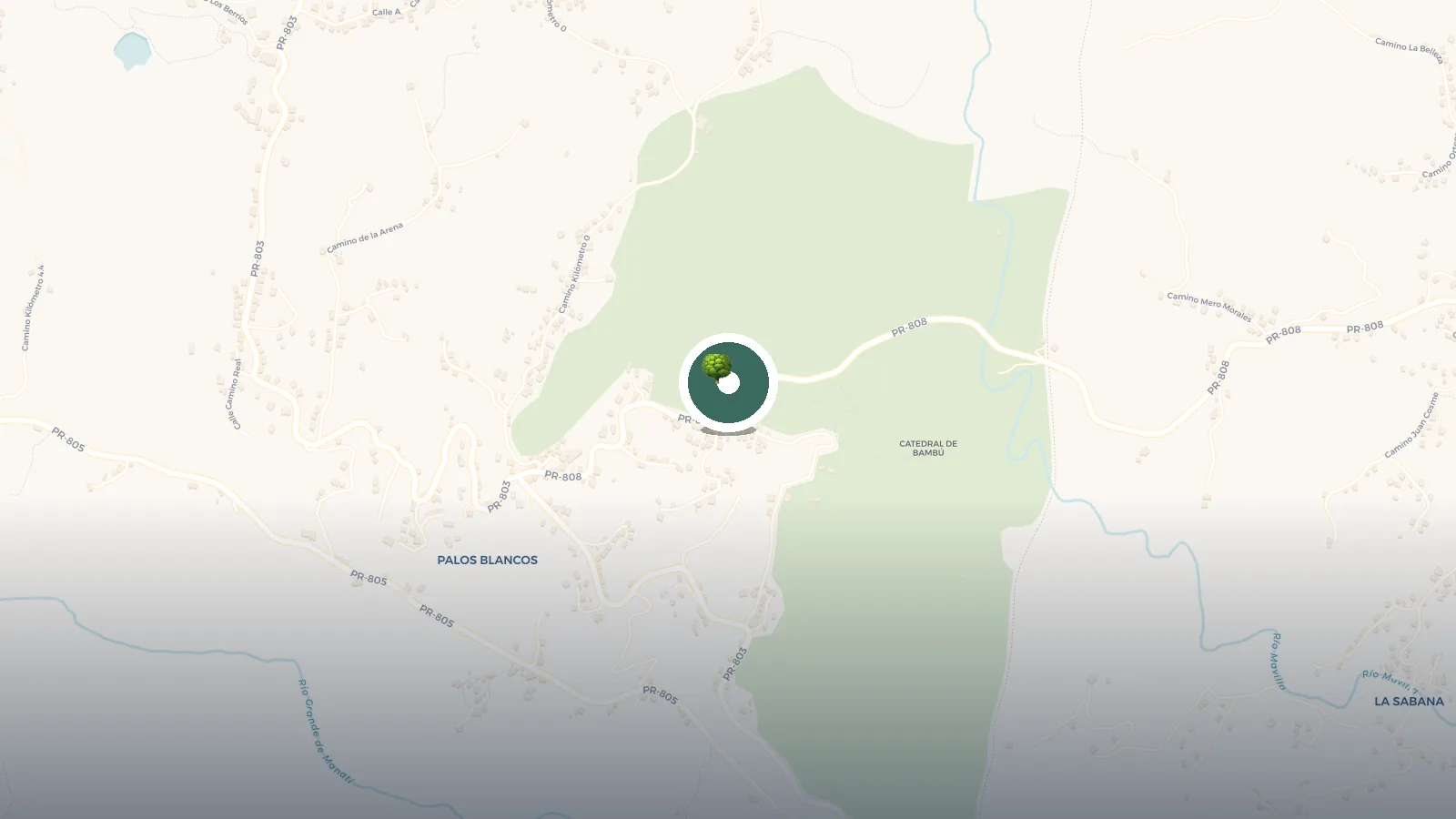 Mapa de Bosque Estatal Monte Choca