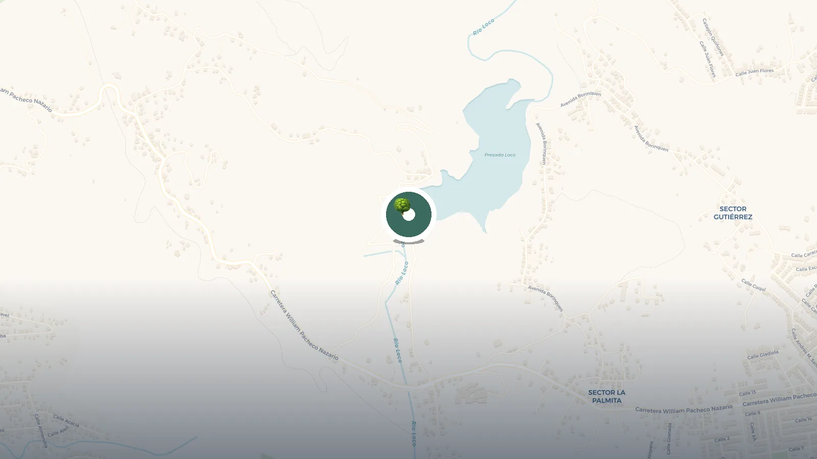 Mapa de La Represa Rio Loco