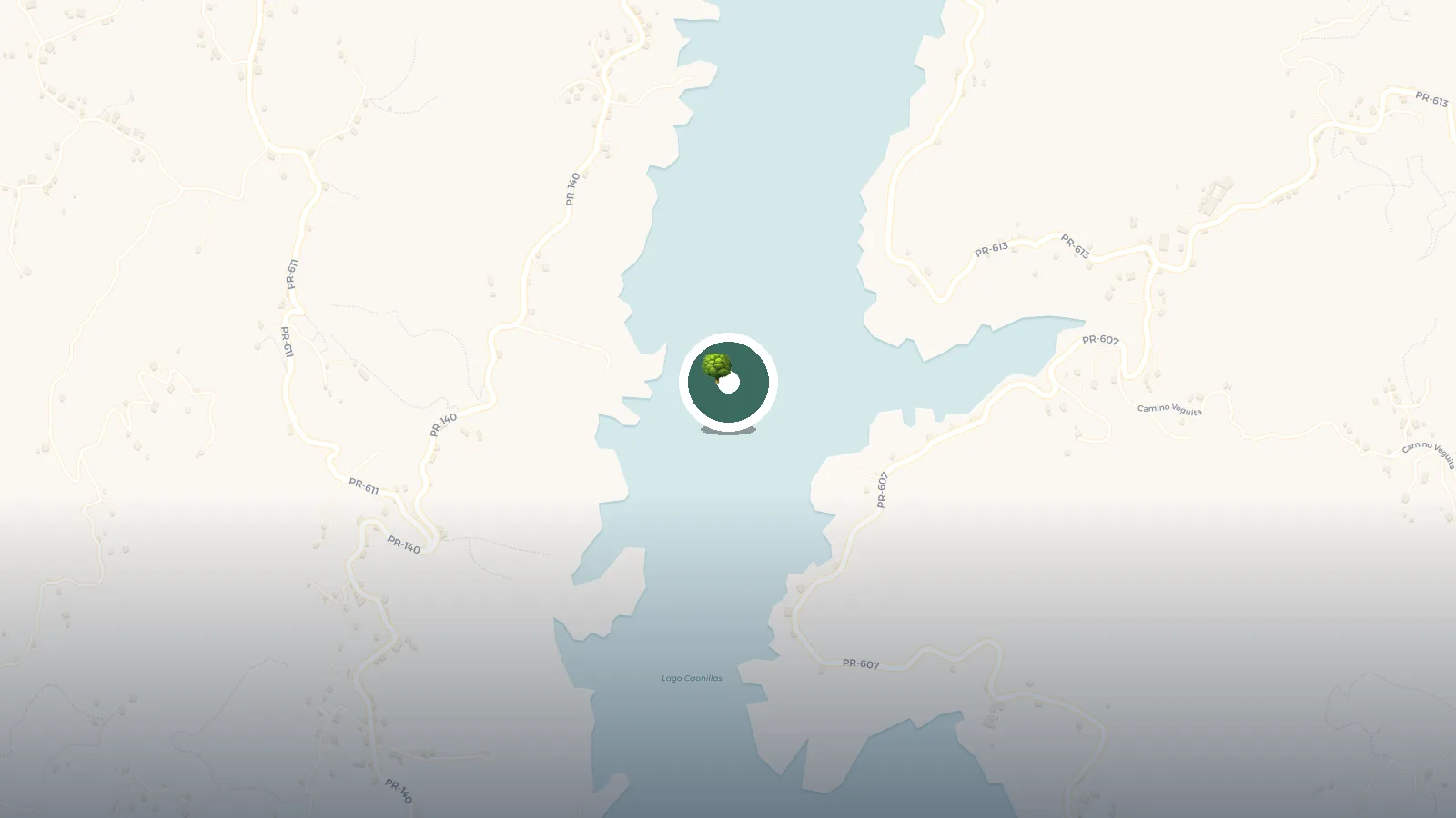 Mapa de Lago Caonillas