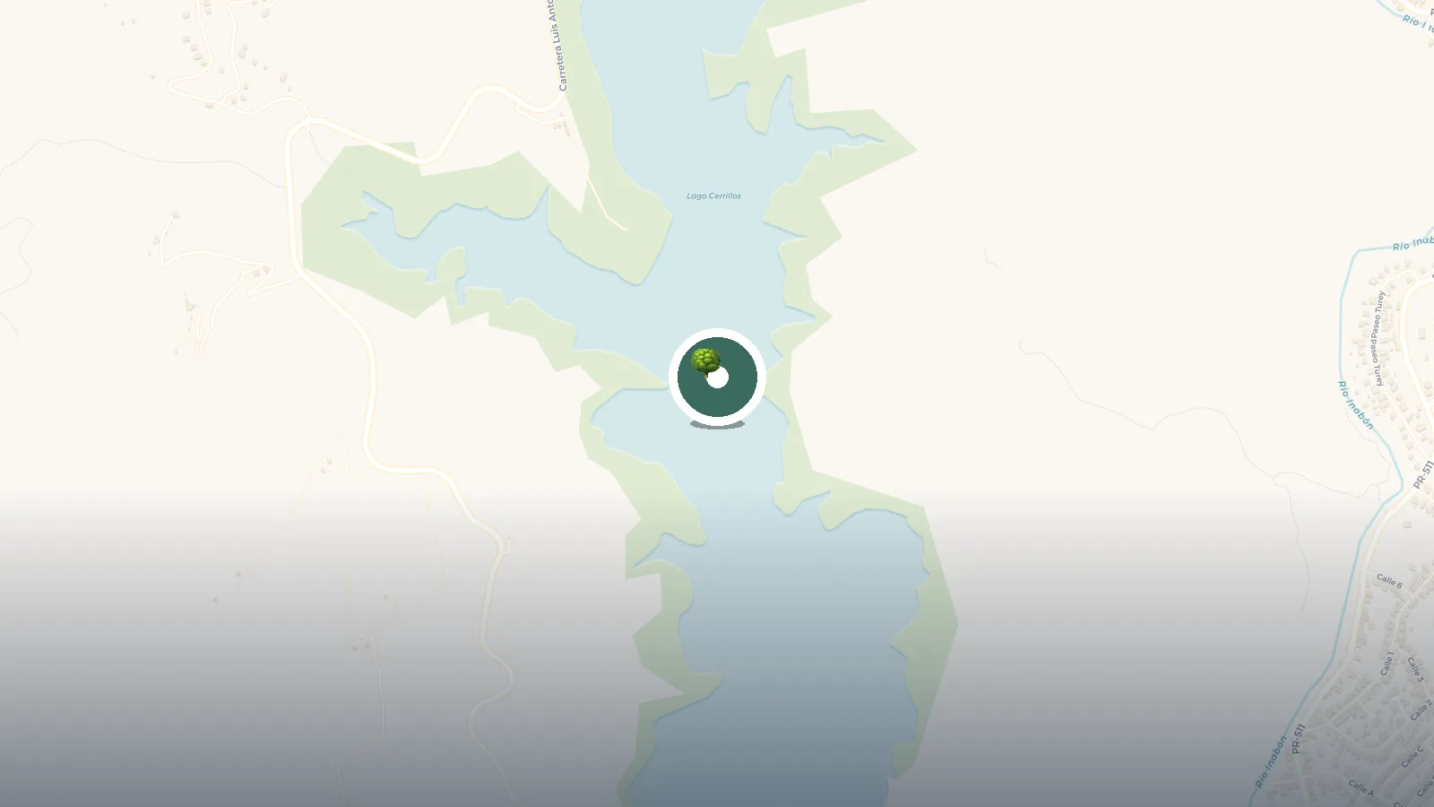 Mapa de Lago Cerrillos