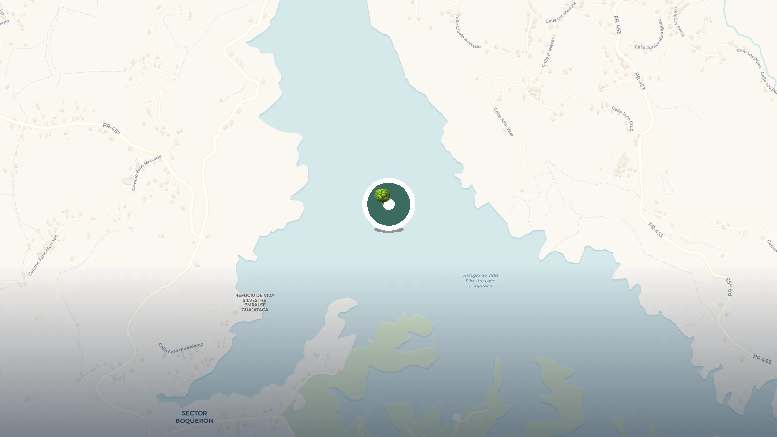 Mapa de Lago Guajataca