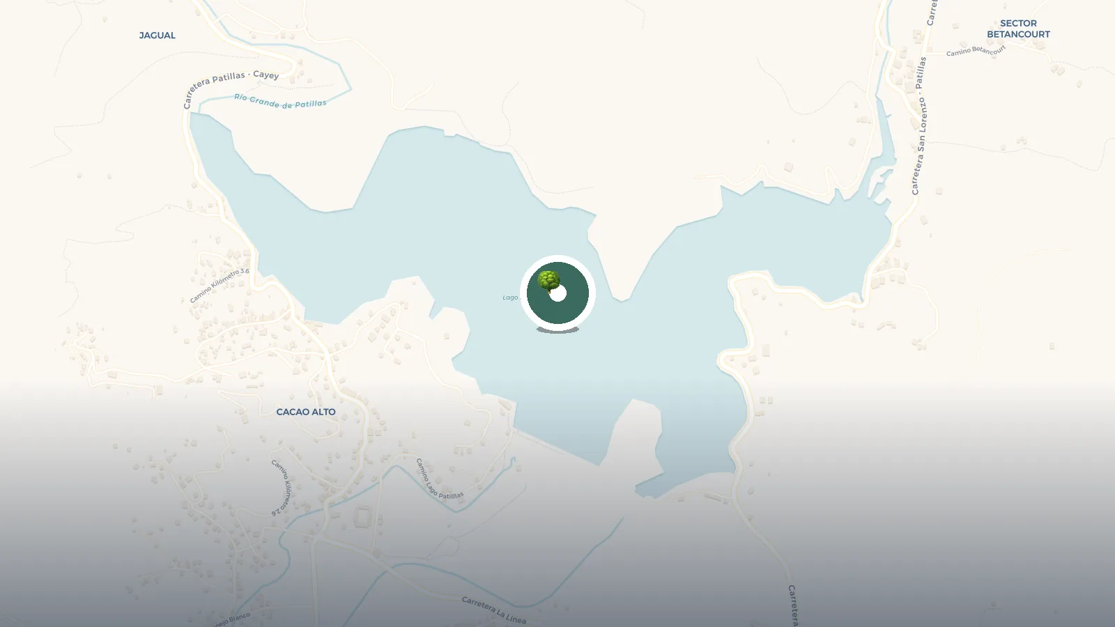 Mapa de Lago Patillas