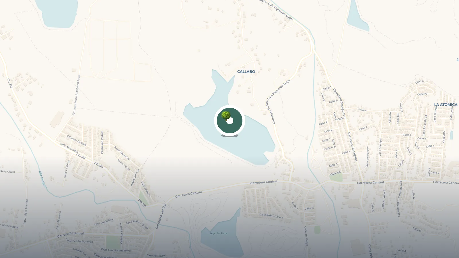 Mapa de Lago Ponceña