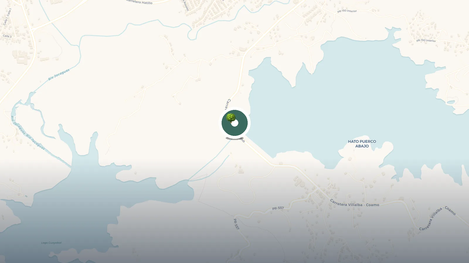 Mapa de Lago Toa Vaca