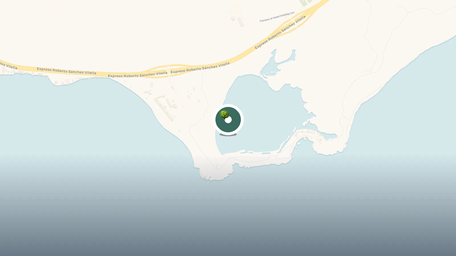 Mapa de Laguna De Las Salinas