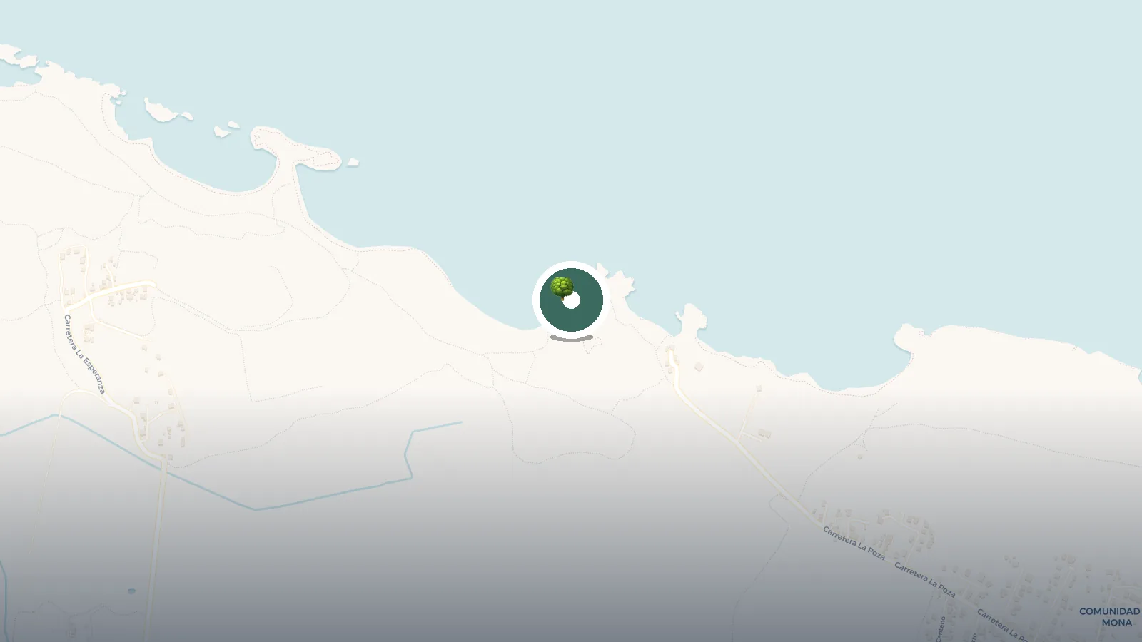 Mapa de Playa Boquilla