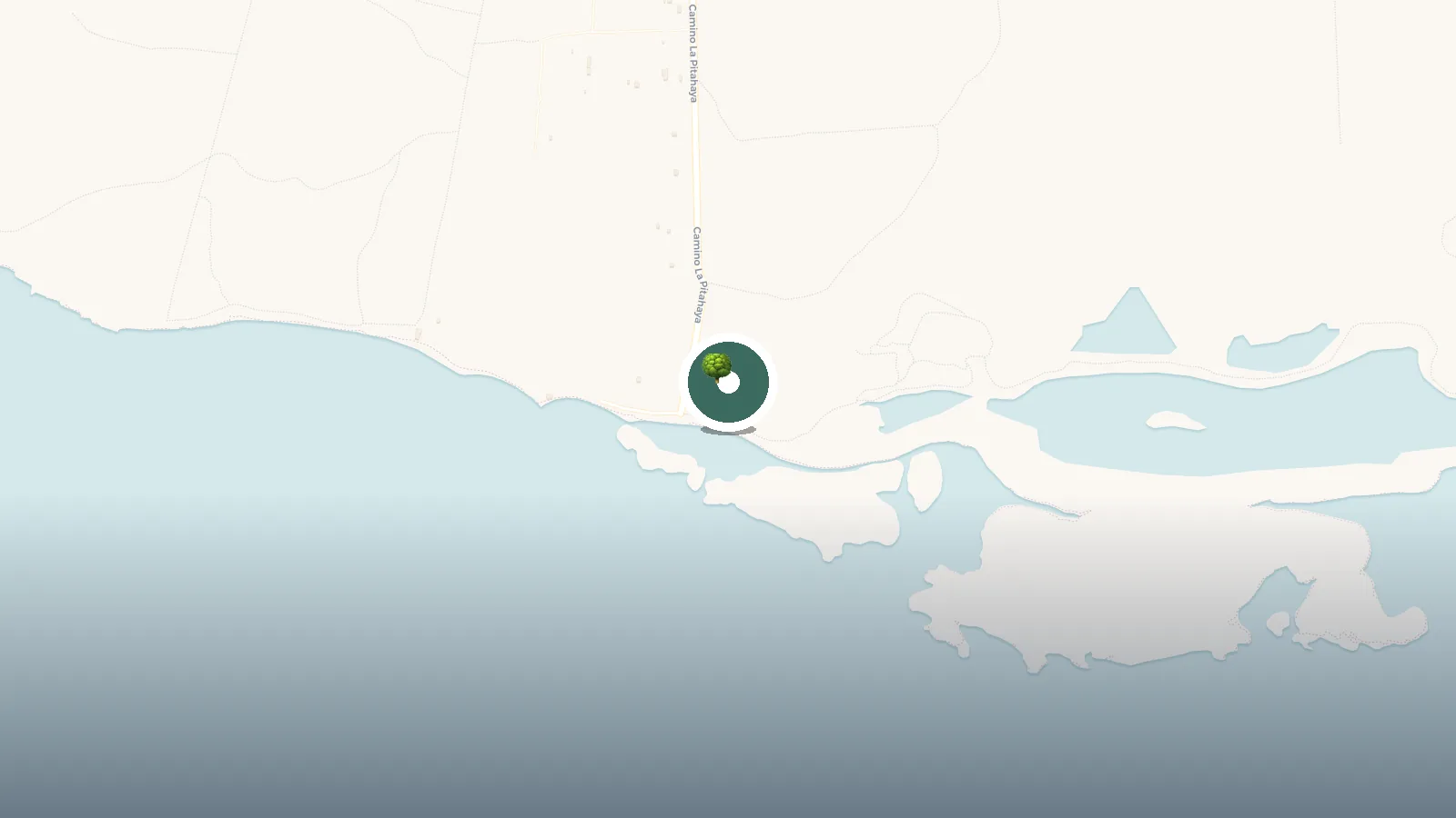 Mapa de Playa La Pitahaya