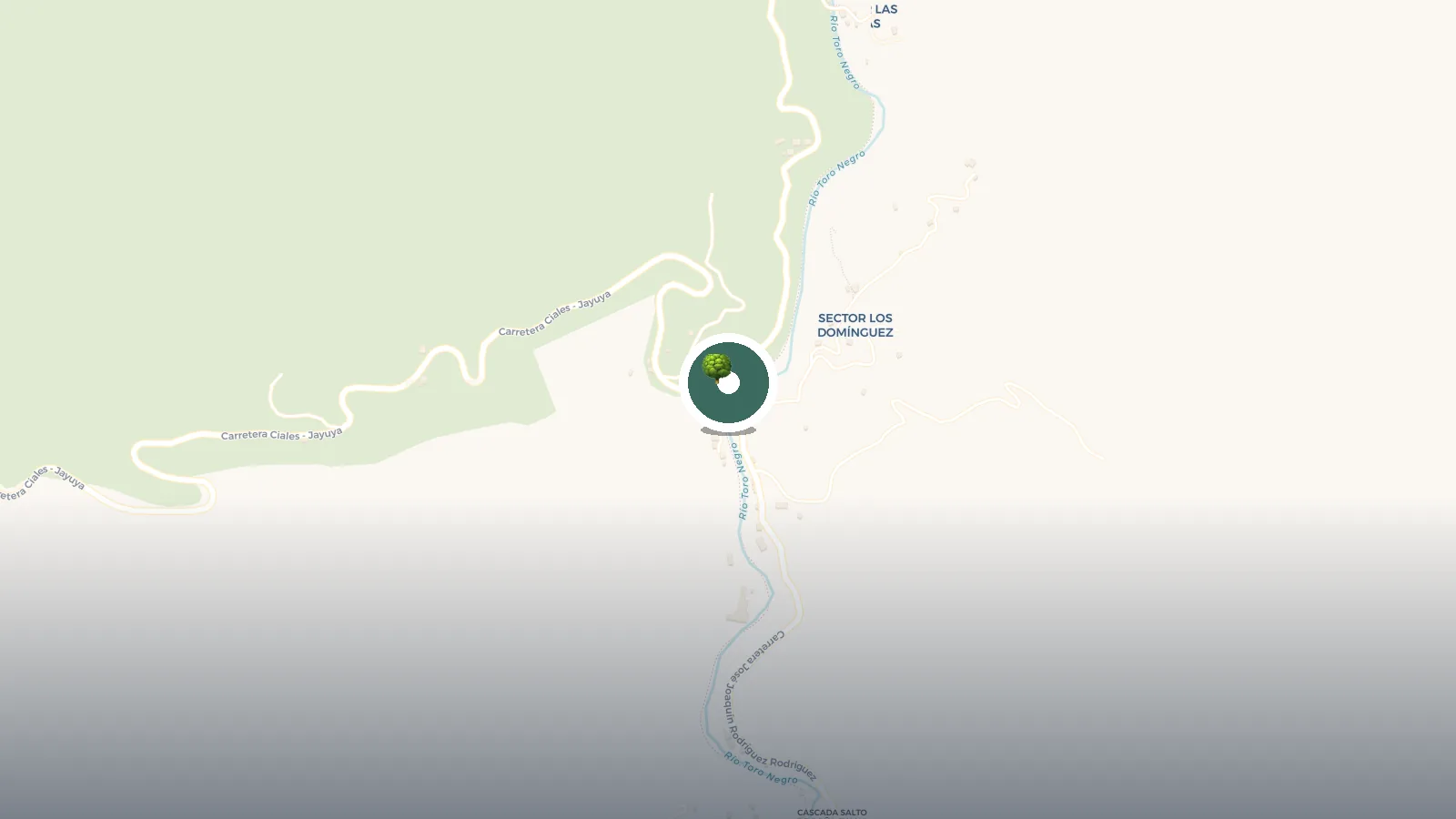 Mapa de Puente Ala De La Piedra Bridge