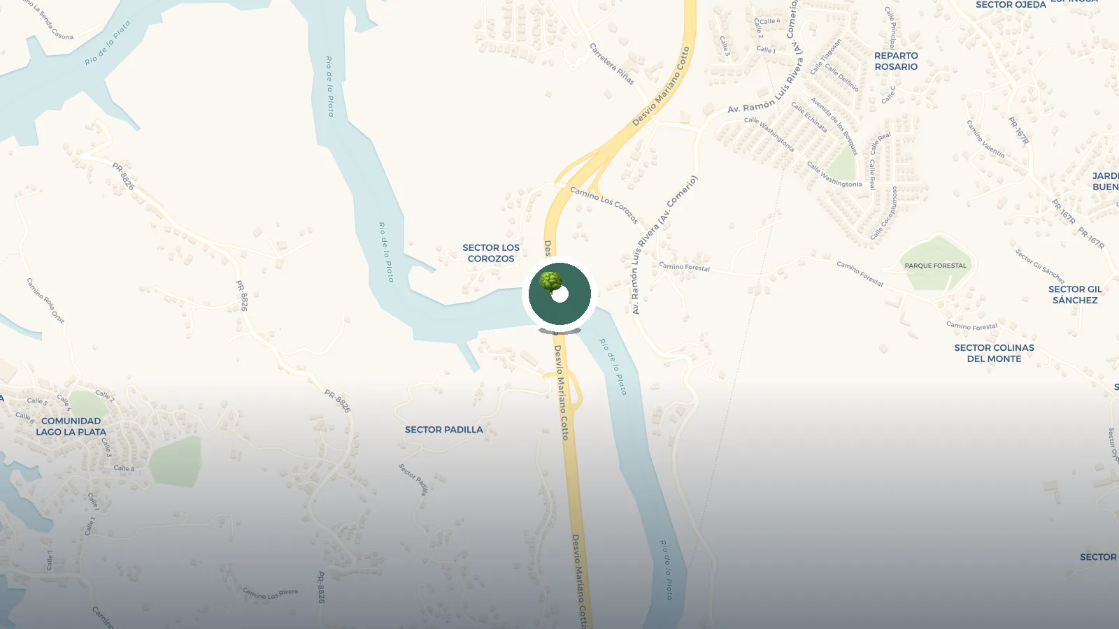 Mapa de Puente Atirantado Naranjito
