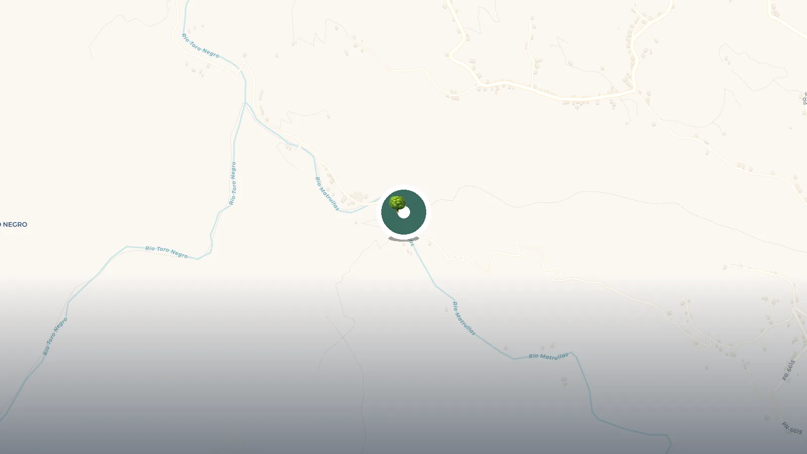 Mapa de Puente Colgante Ciales