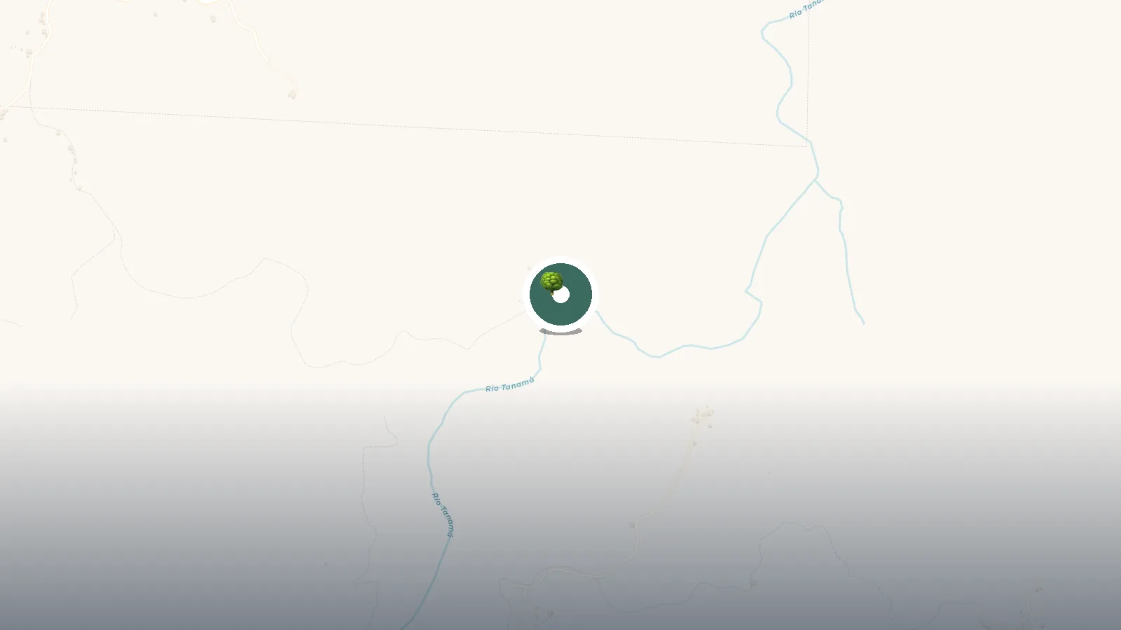 Mapa de Puente colgante estacion