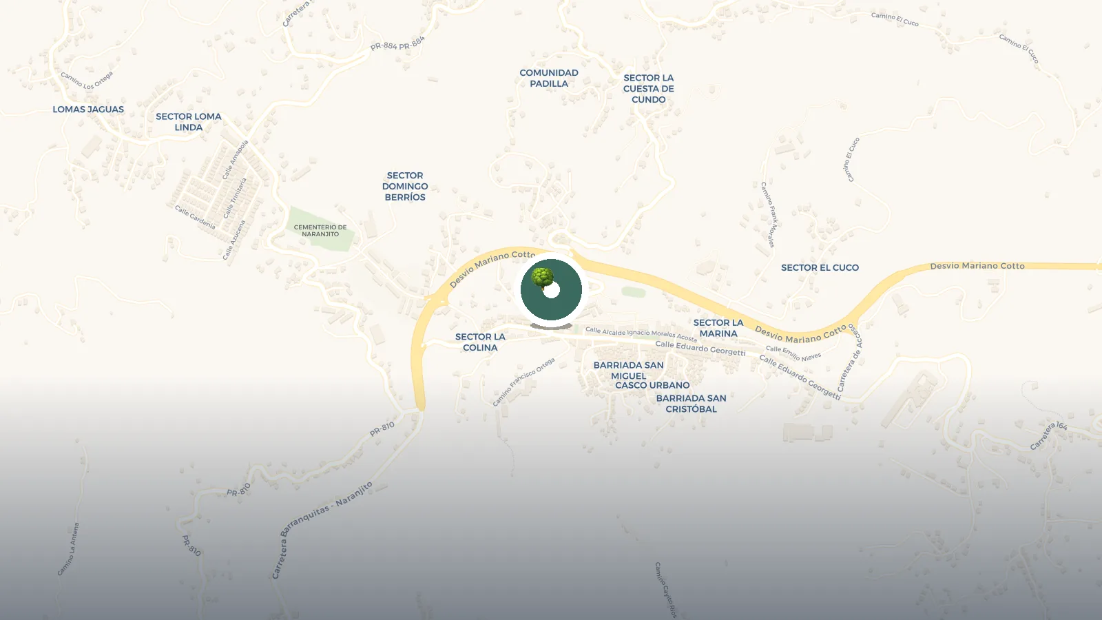 Mapa de Puente Colgante Naranjito