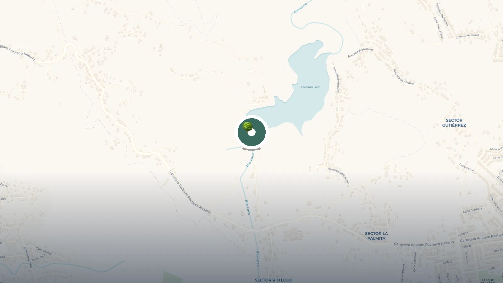 Mapa de Puente Colgante Represa