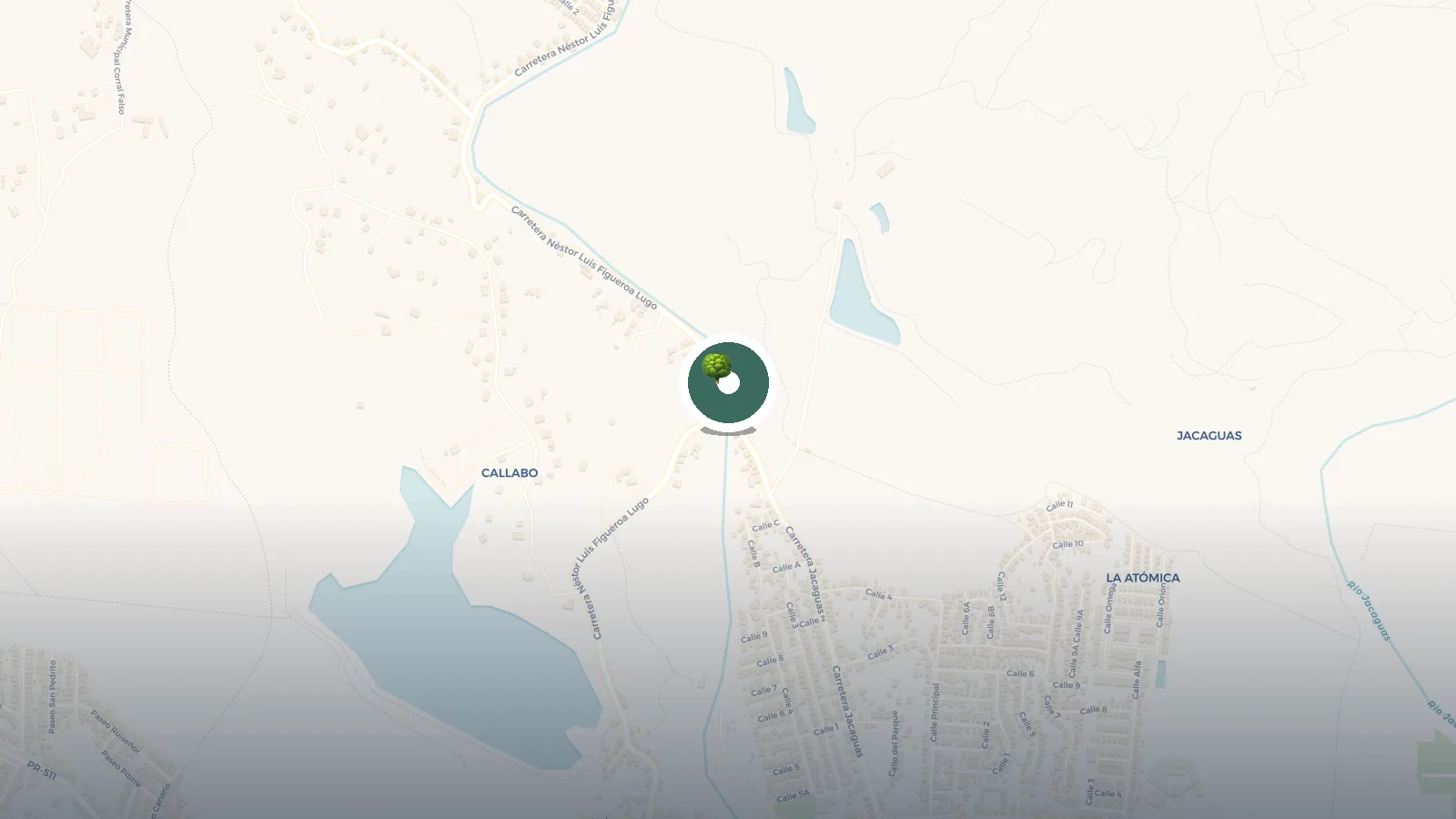 Mapa de Puente Estrecho