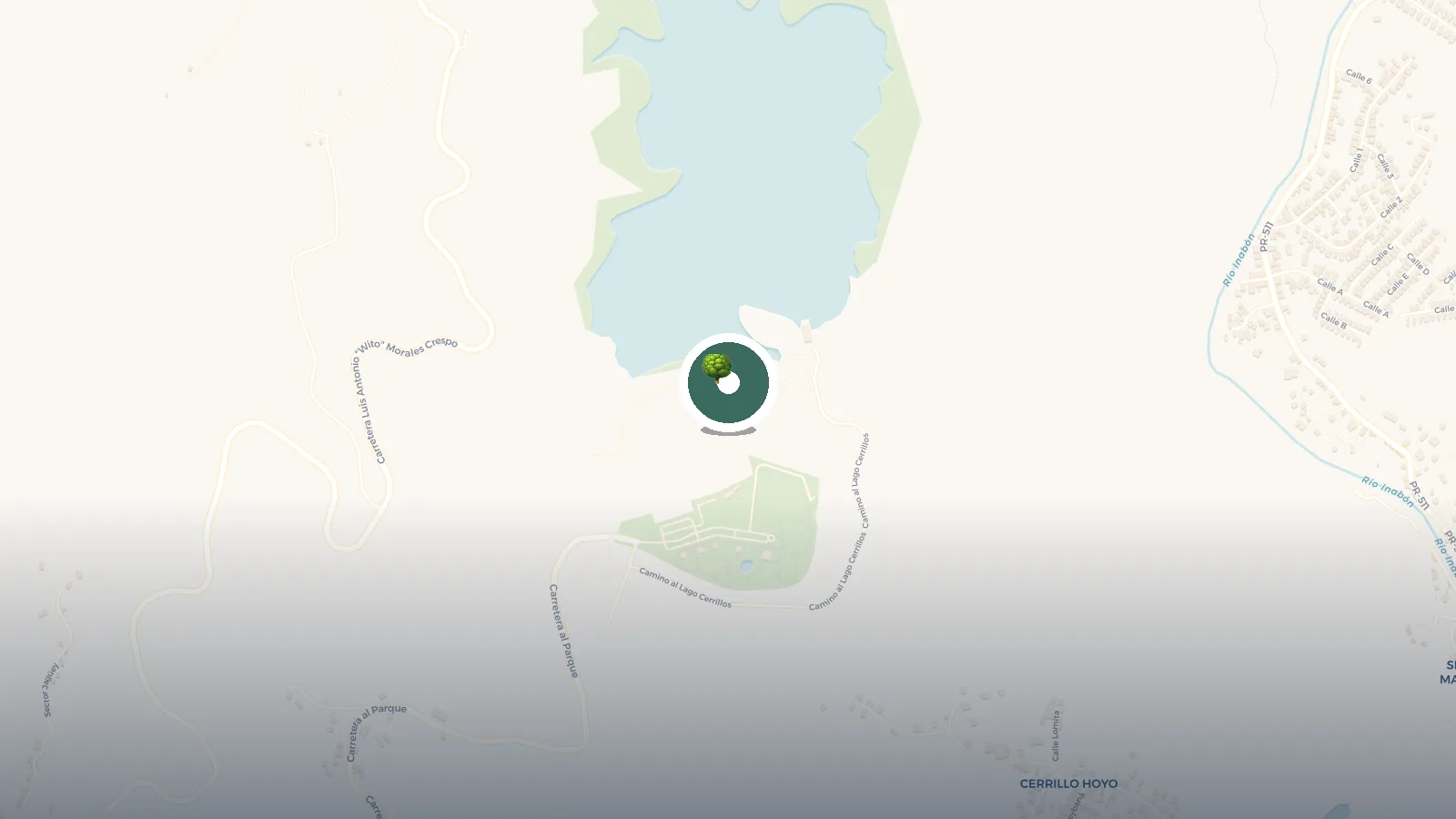Mapa de Represa Cerrillos