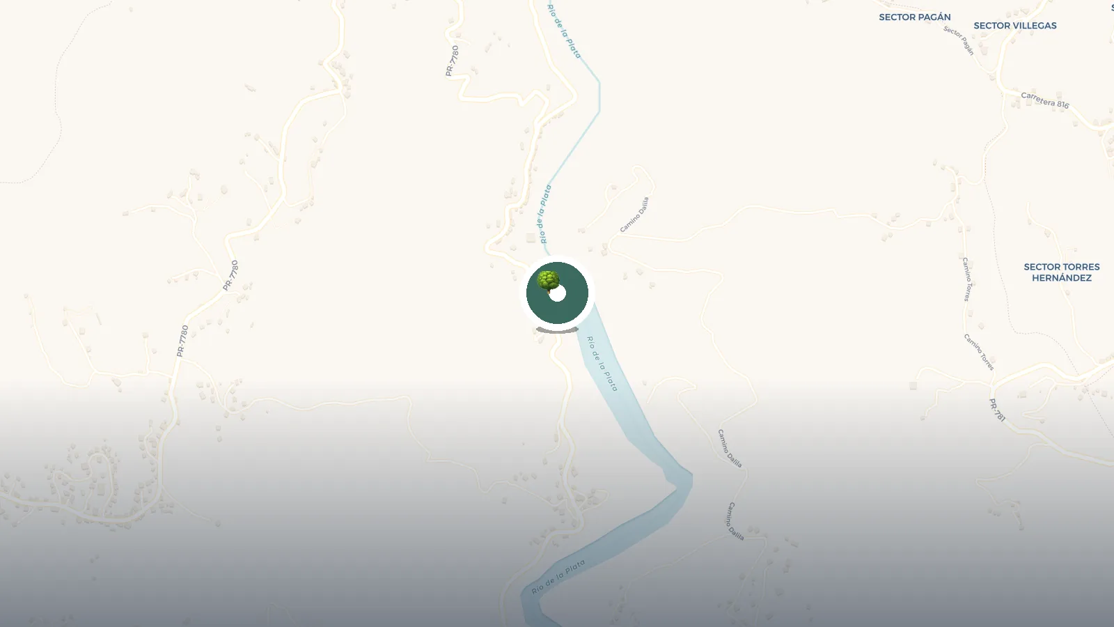 Mapa de Represa de Comerio