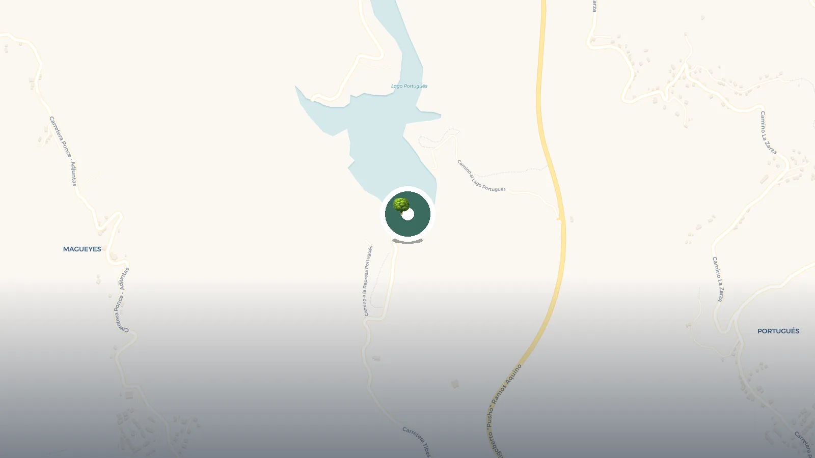 Mapa de Represa Portugues