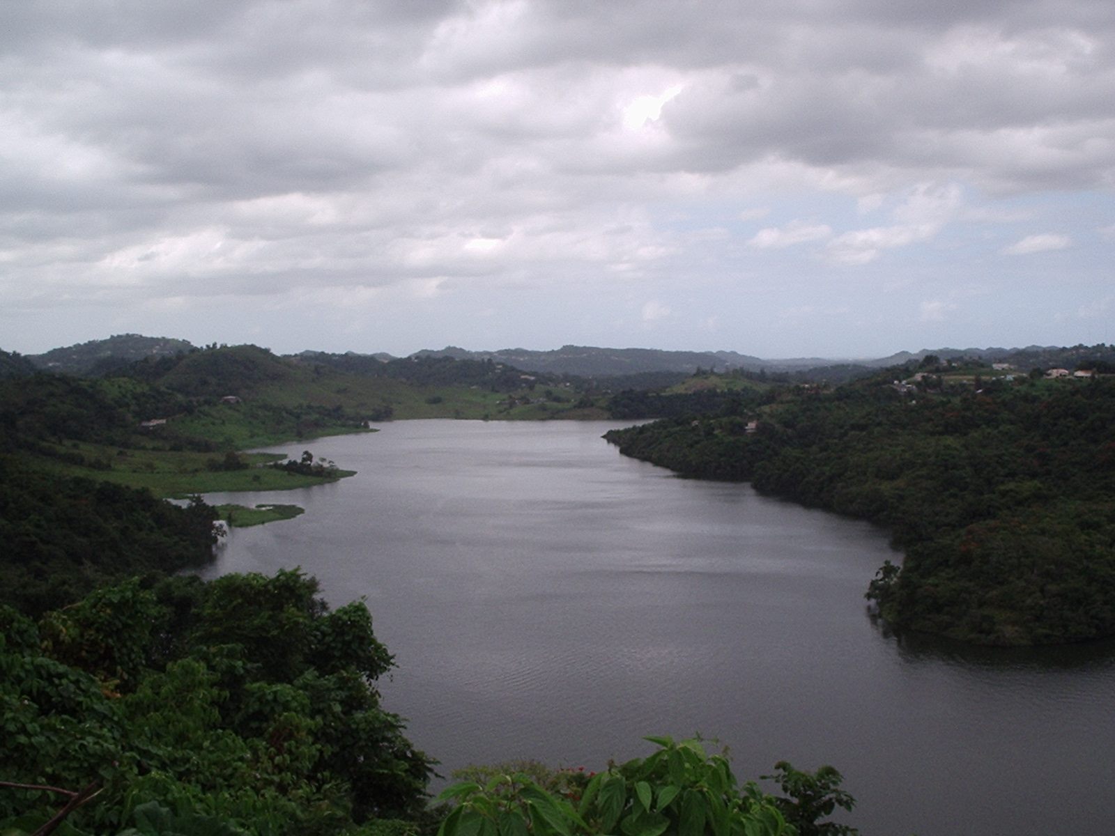 Cañas River (Naranjito, Puerto Rico)