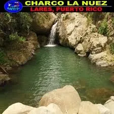 Charco el Nuez ( Mapa PR)