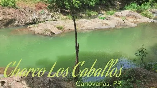Charco Los Caballos