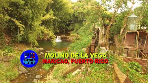 Molino De La Vega