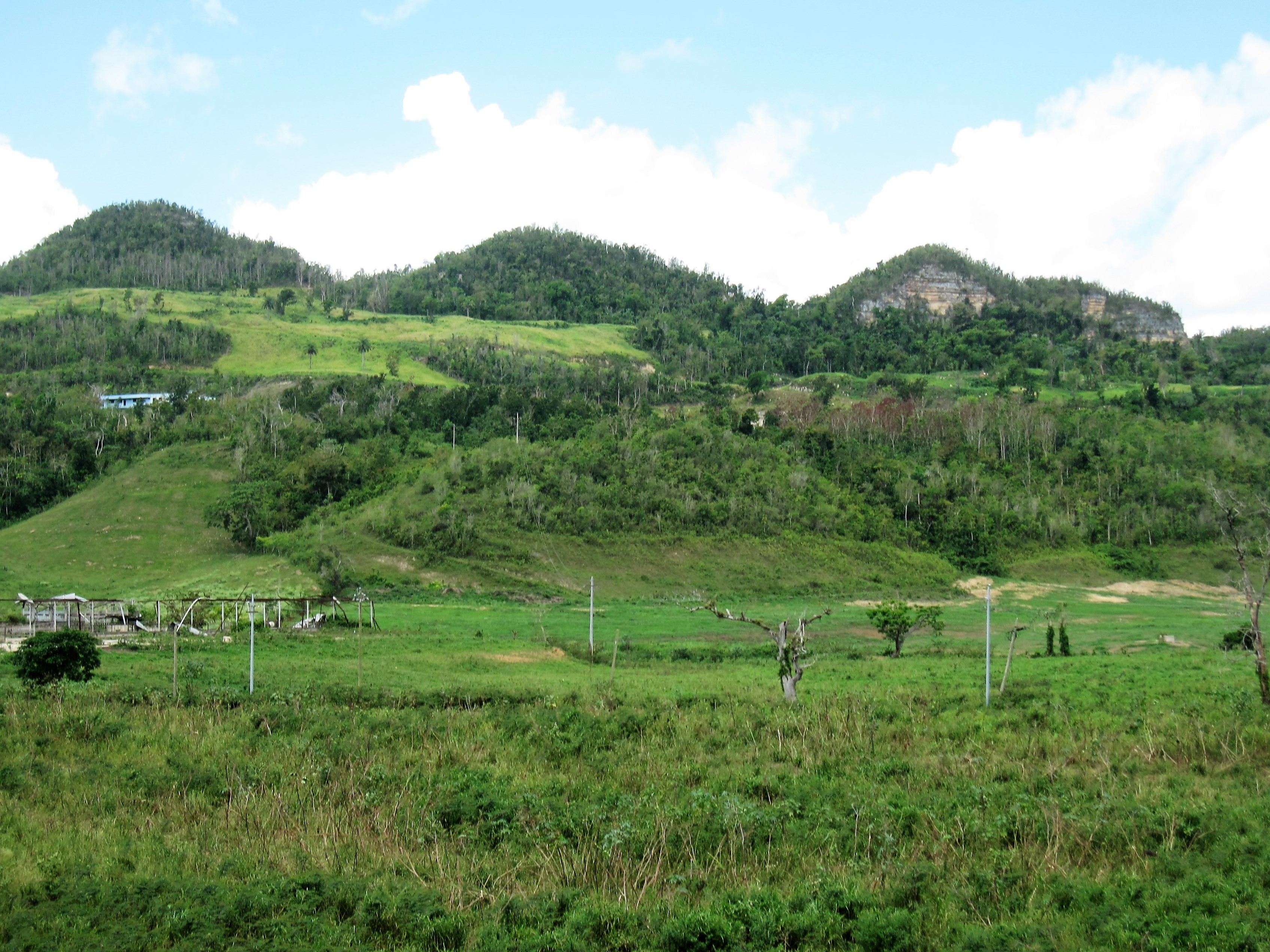 Río Cialitos