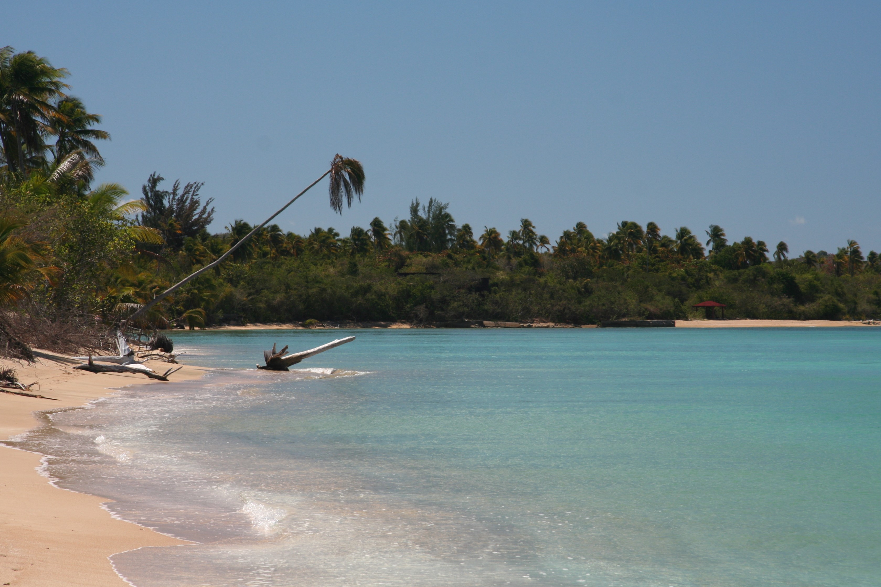 El Quenepo Vieques