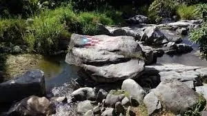 Bandera en Piedra y Puente
