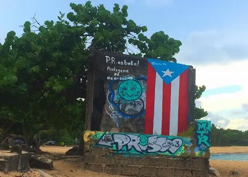 Proyecto Bandera Manati