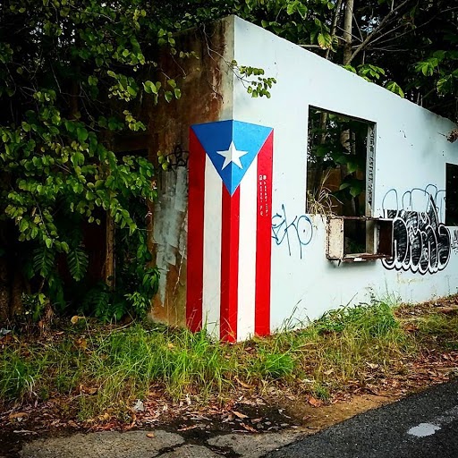 Proyecto Bandera Cidra