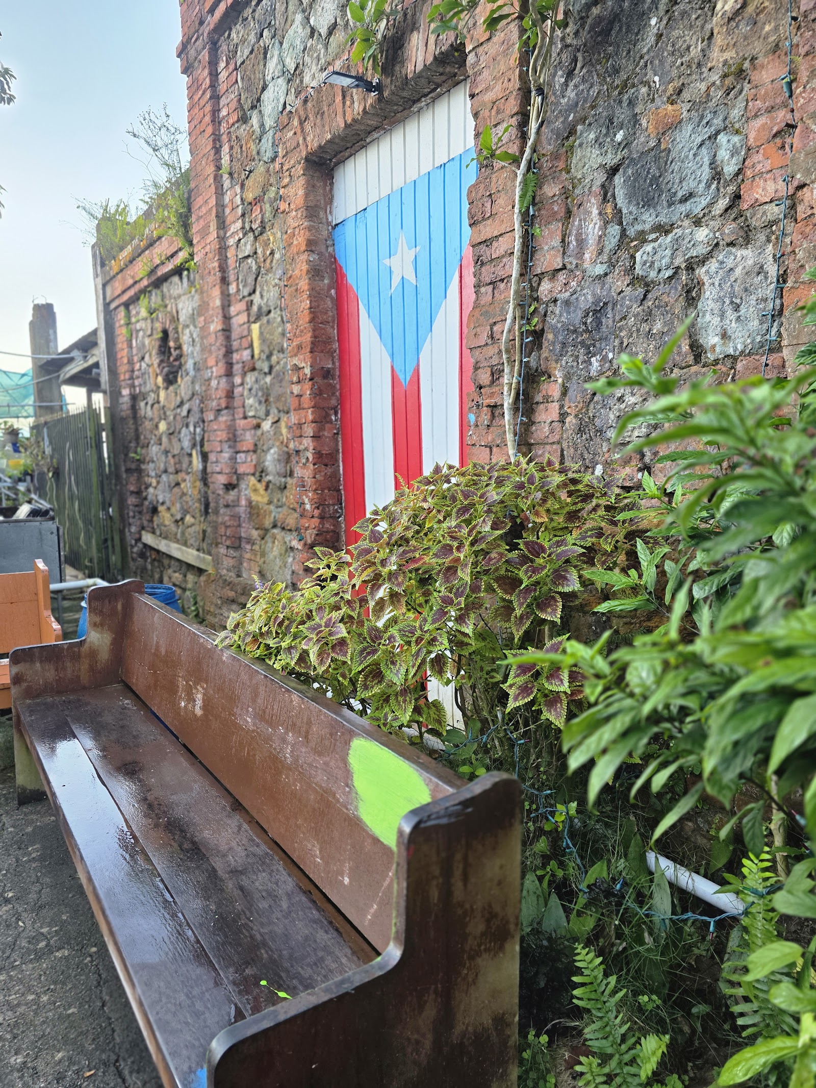 Casita Camionero Cayey 4