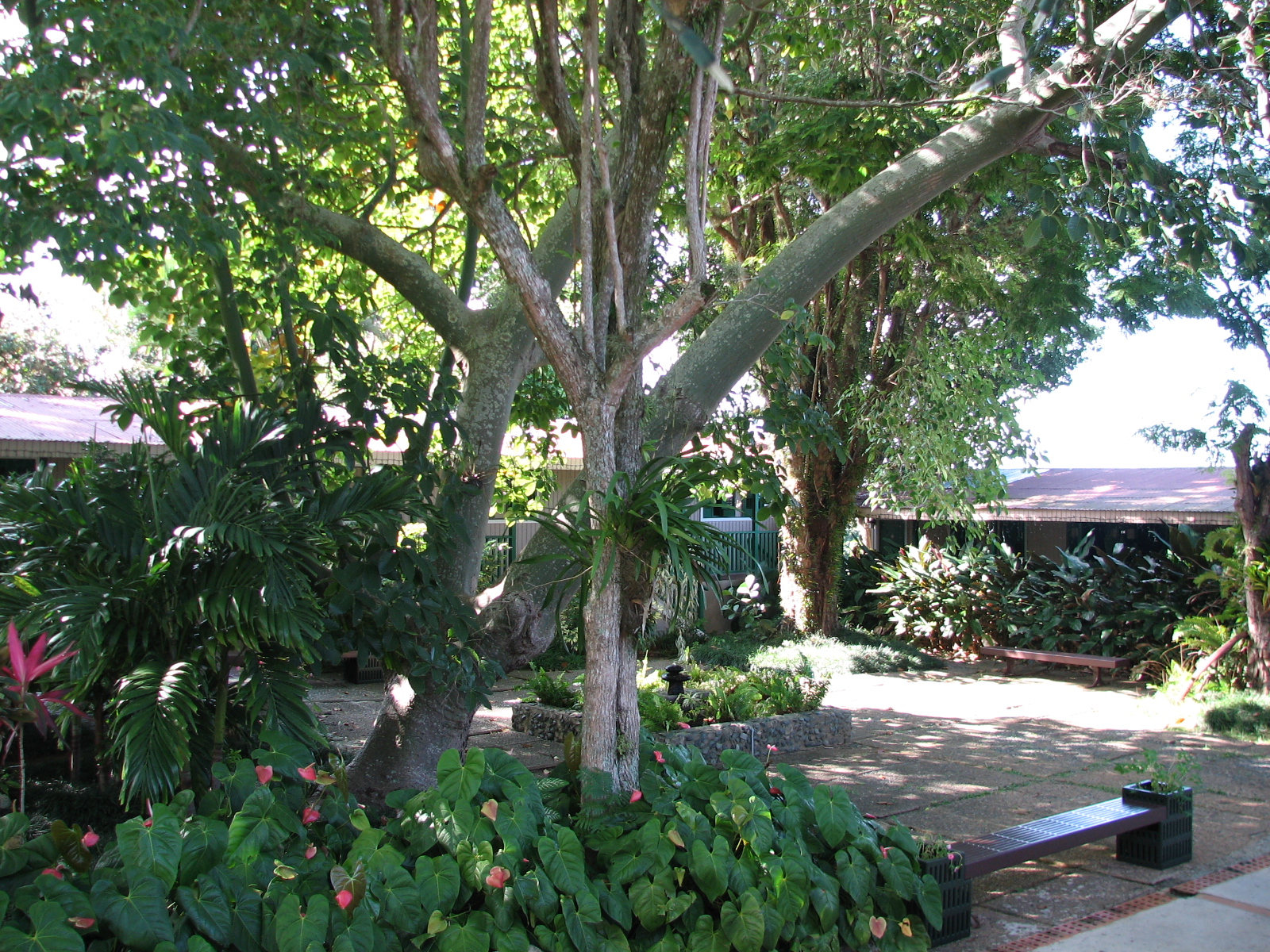Hacienda Juanita