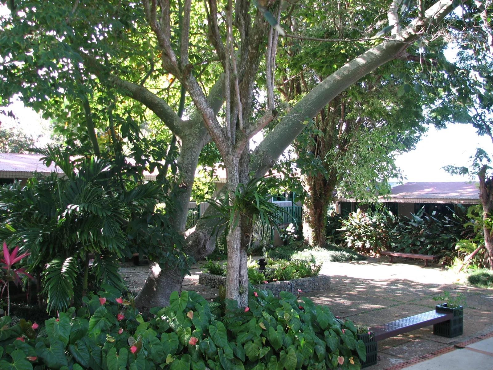 Hacienda Juanita