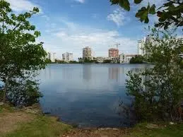 Mirador Laguna Condado