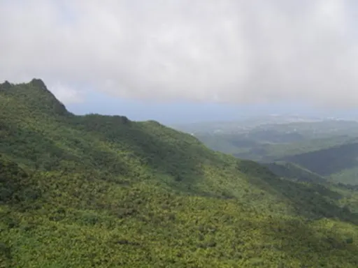 Antigua Central Azucarera