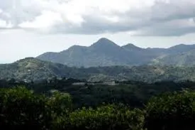 Cerro de Punta