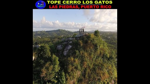 Cerro Los Gatos