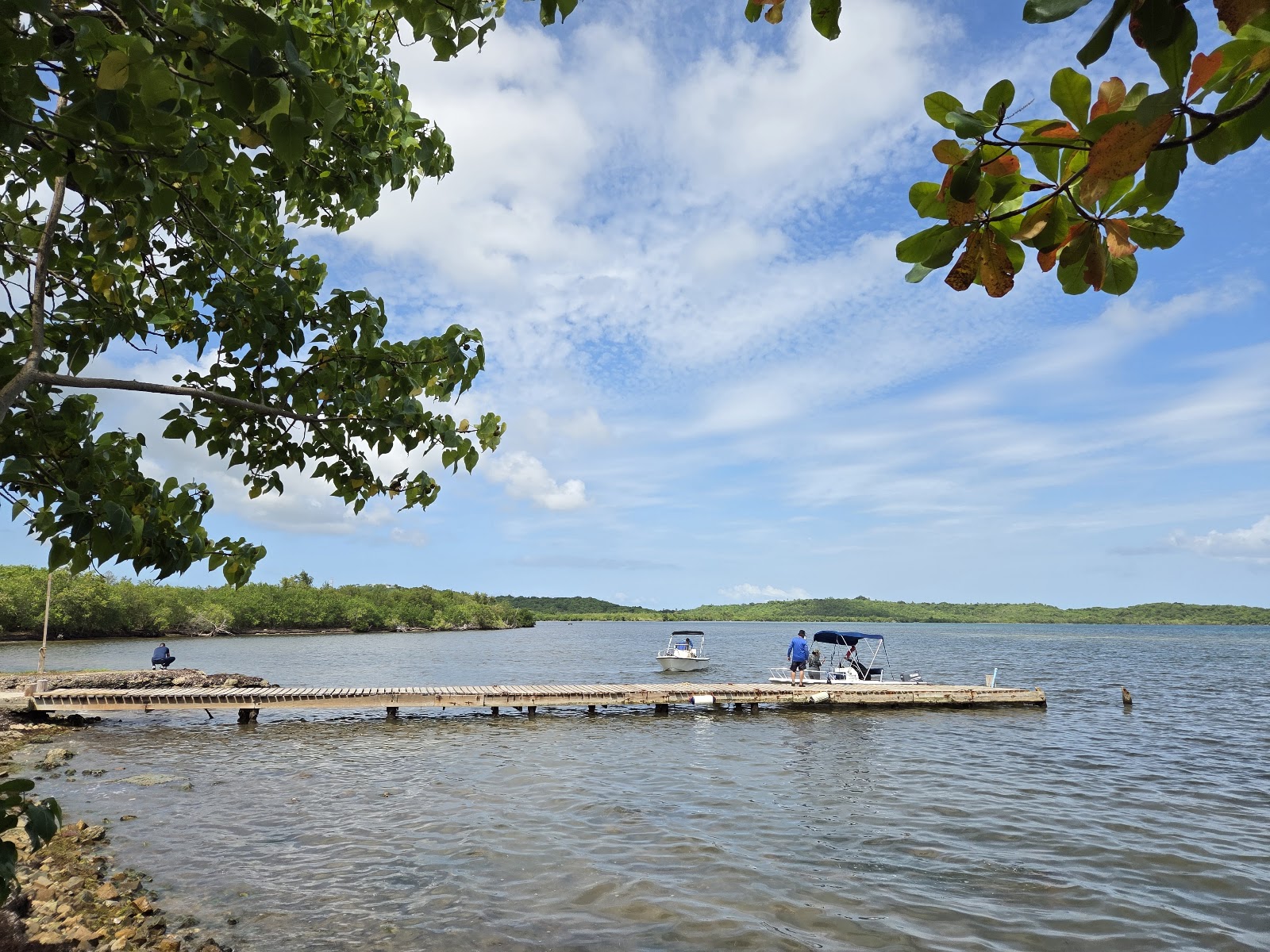 El Colcho Hogar Moises Manati